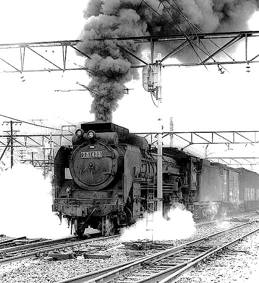 D51435