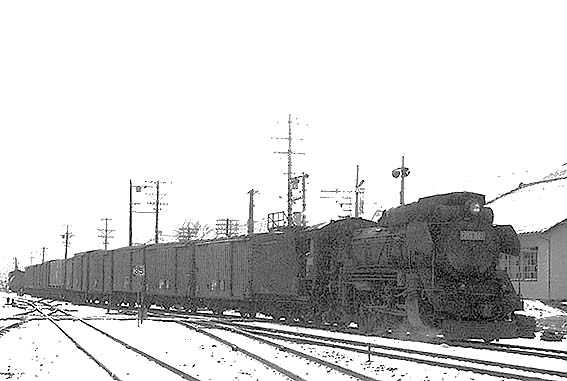 D51501