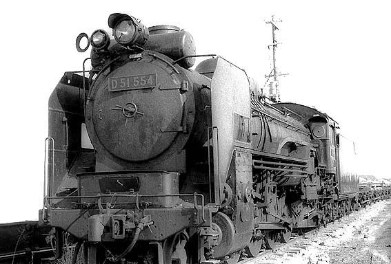 D51554
