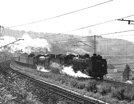 D51390