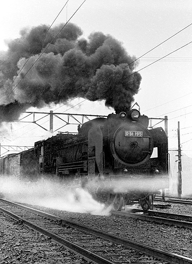 D51195