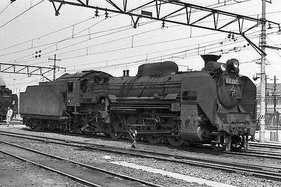 D51207