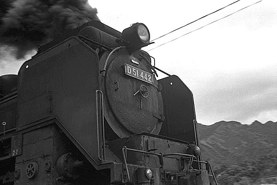 D51442