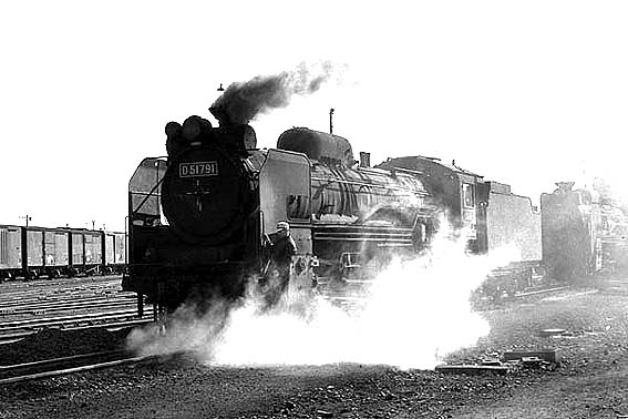 D51791