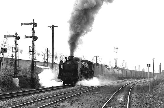 D511094