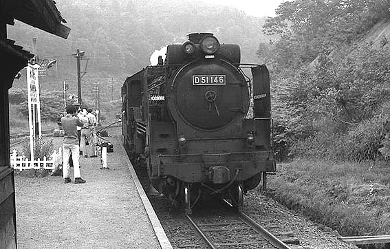 D51146