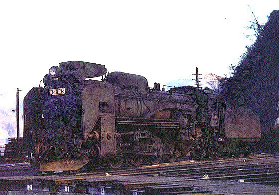 D51195