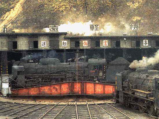 D51311