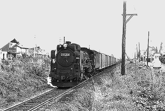 D51328