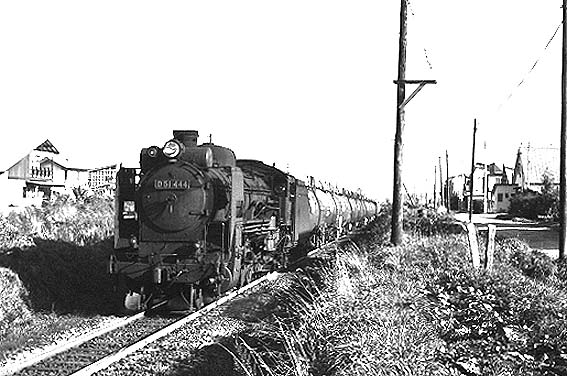 D51444