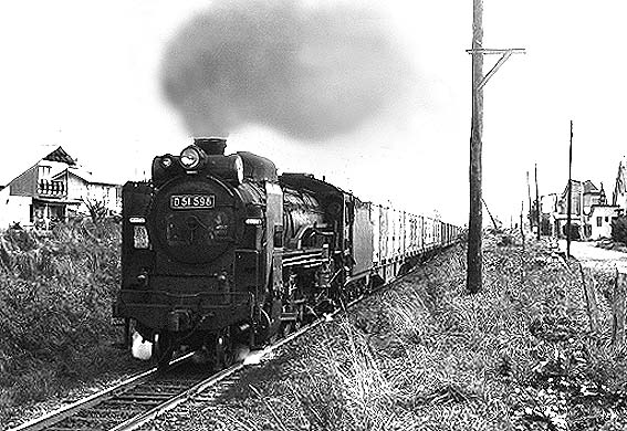 D51598