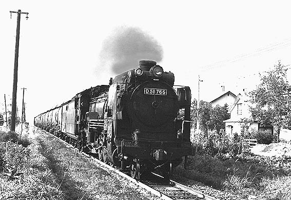 D51766