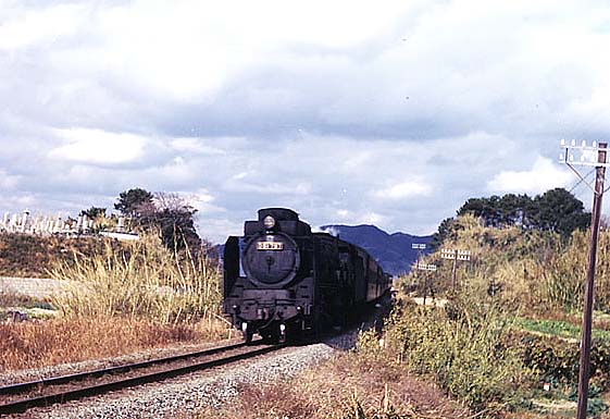 D51797