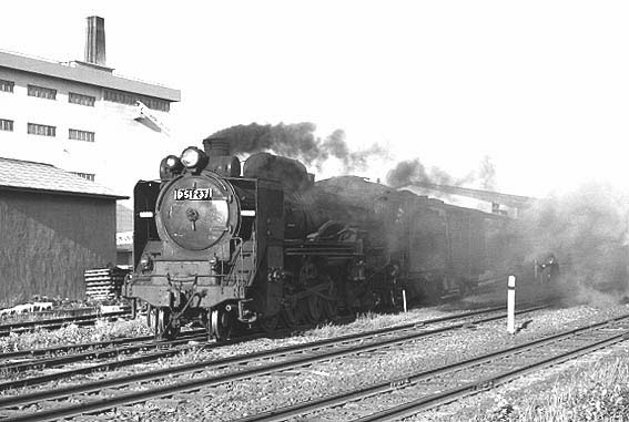 D51237