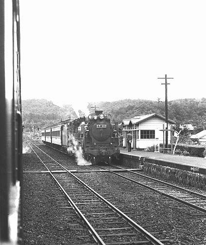 D51443