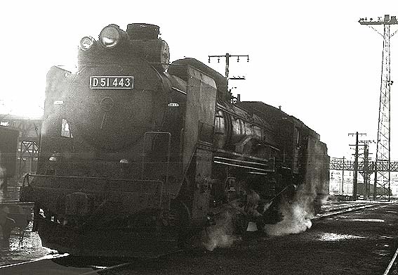D51443