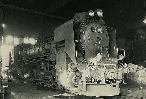D51167