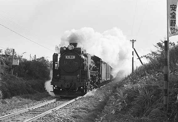 D51231