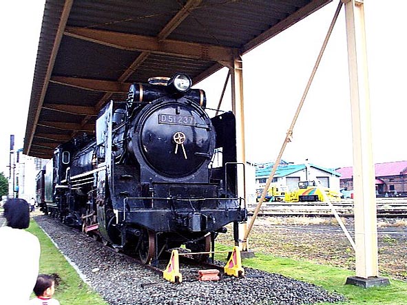 D51237