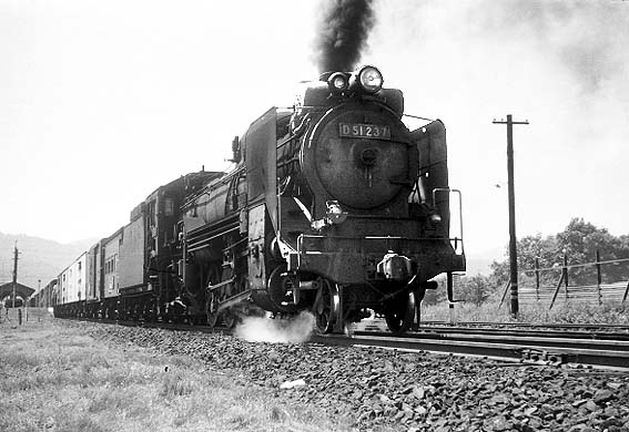D51237