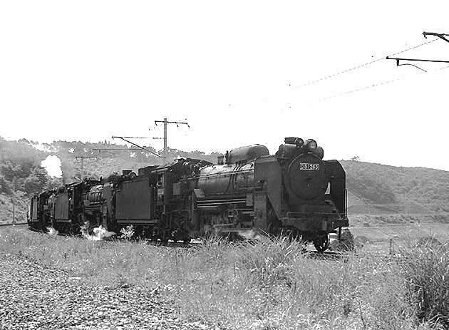 D51263