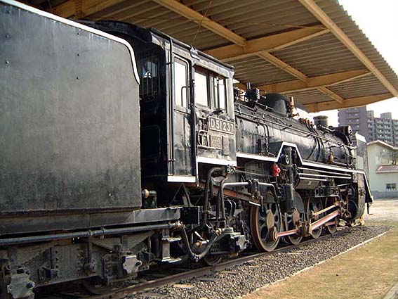 D51237