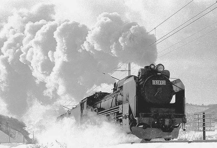 D51231