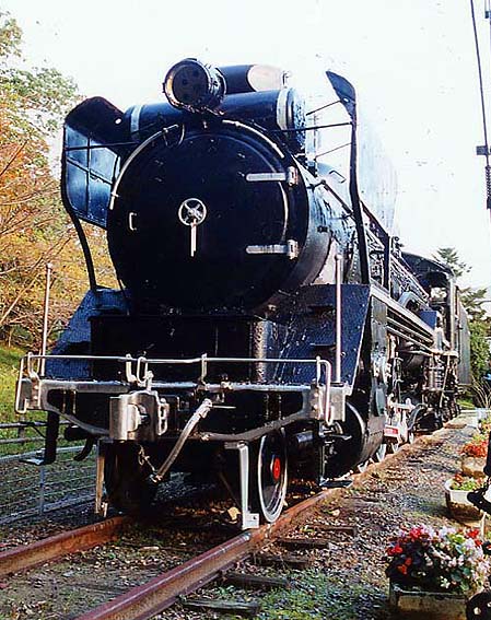 D51499