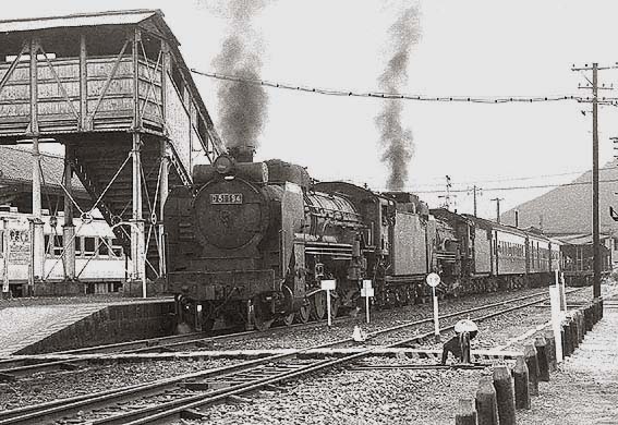 D51194