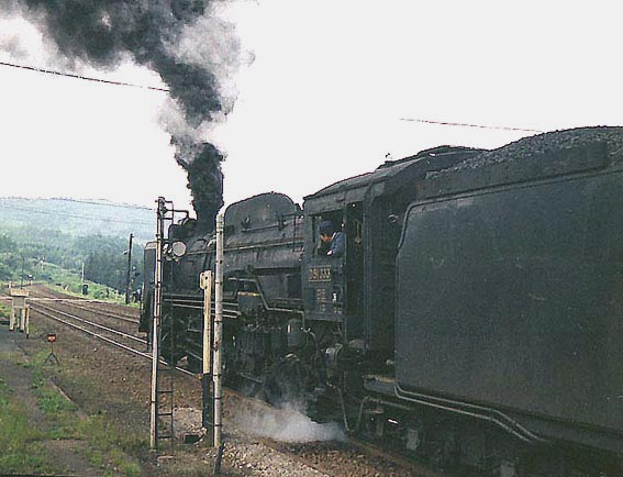 D51333