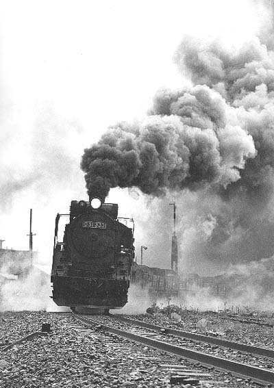 D51333