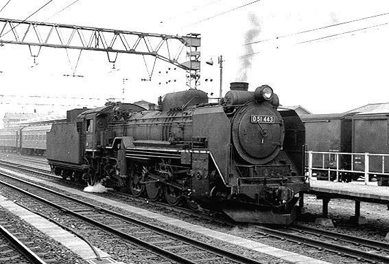 D51443