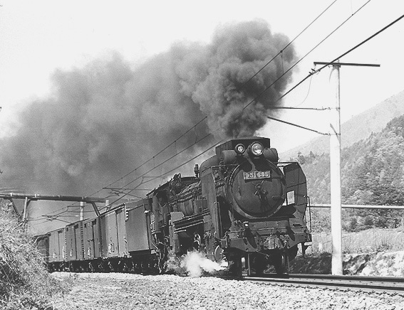 D51688