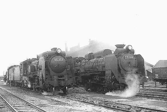 D51953