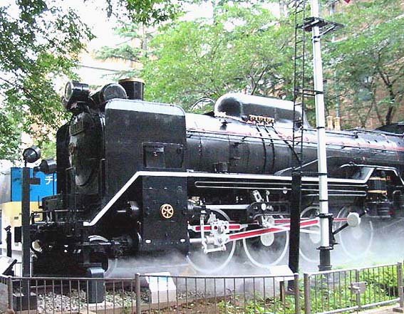 D51231