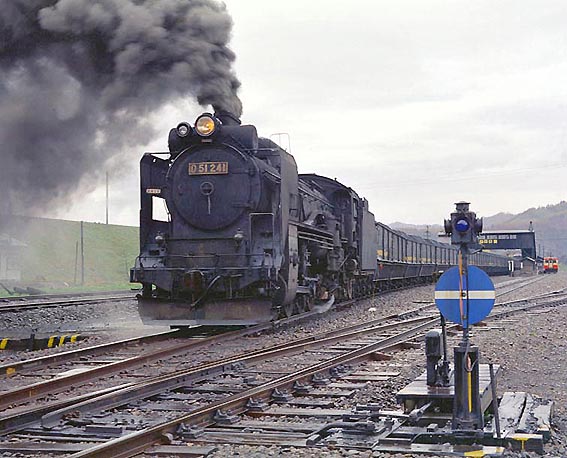 D51241