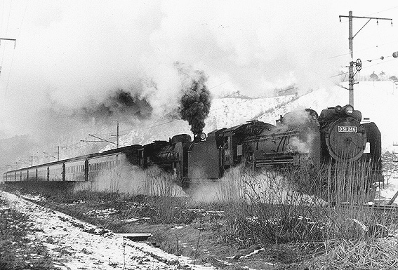 D51246