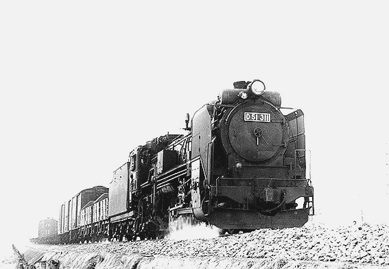 D51311