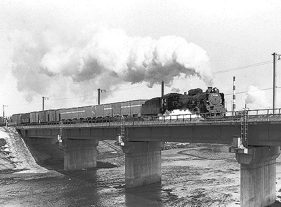 D51311