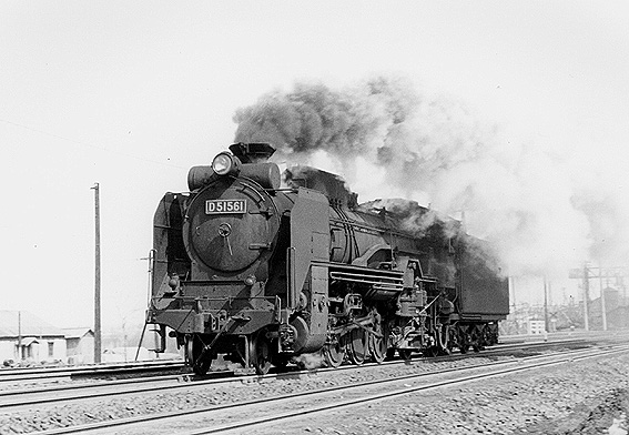 D51561
