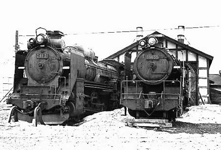 D51181