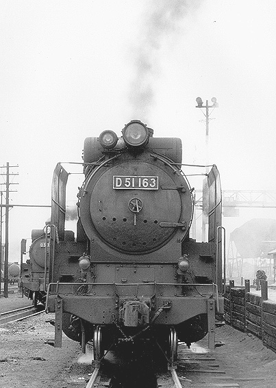 D51163