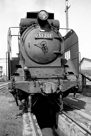 D51201