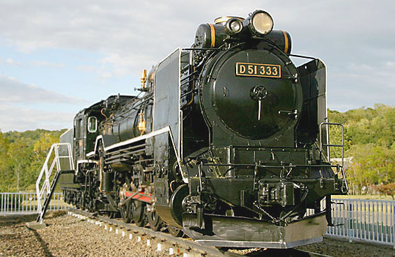 D51333