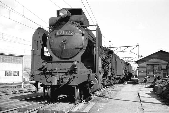 D51775