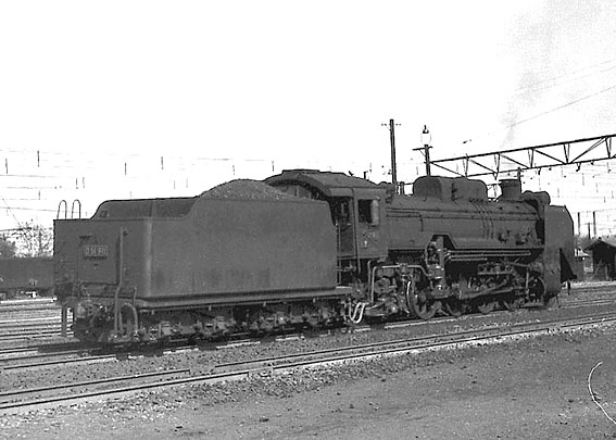 D51911