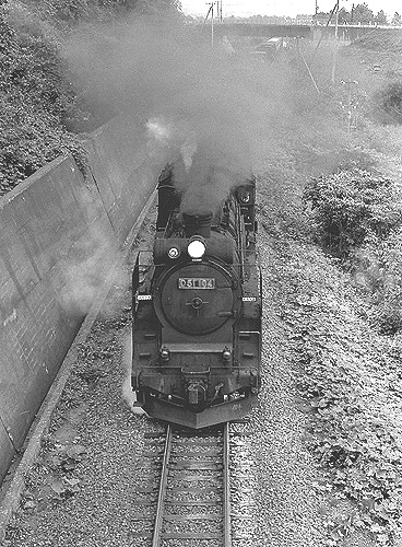 D51104