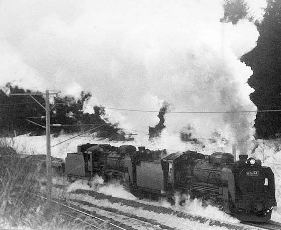 D51134