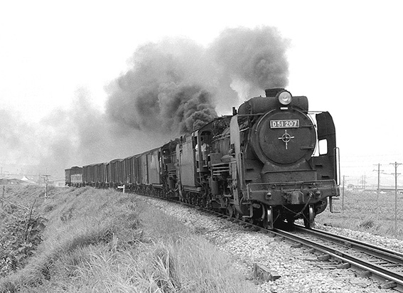 D51207