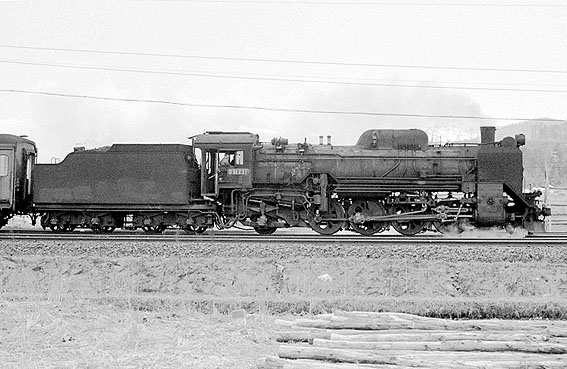 D51237